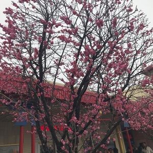 Meet your Posher, Jan